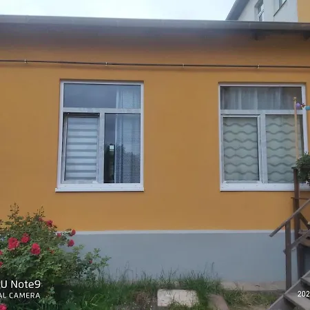 Mit Garten In Zentrum Schwerins